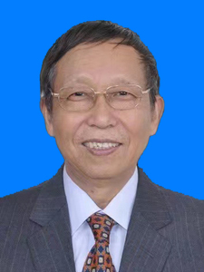 副理事长 张国成