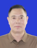 副会长 王舒