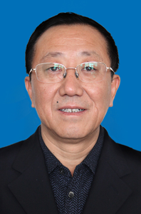 副会长 王延岭